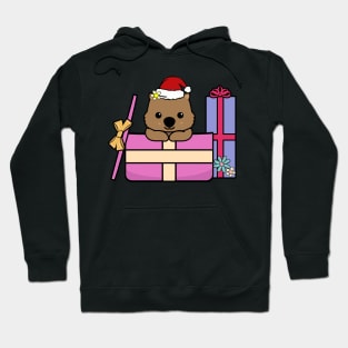 Christmas Wombat in a Present Hoodie